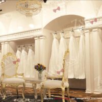wedding dress store 3d model (2)